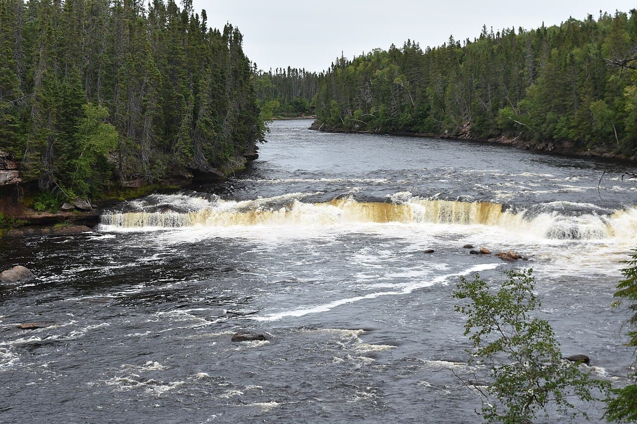 Whitewater surging over Big Falls on the Humber River in western Newfoundland, dark forest pressing in on both banks